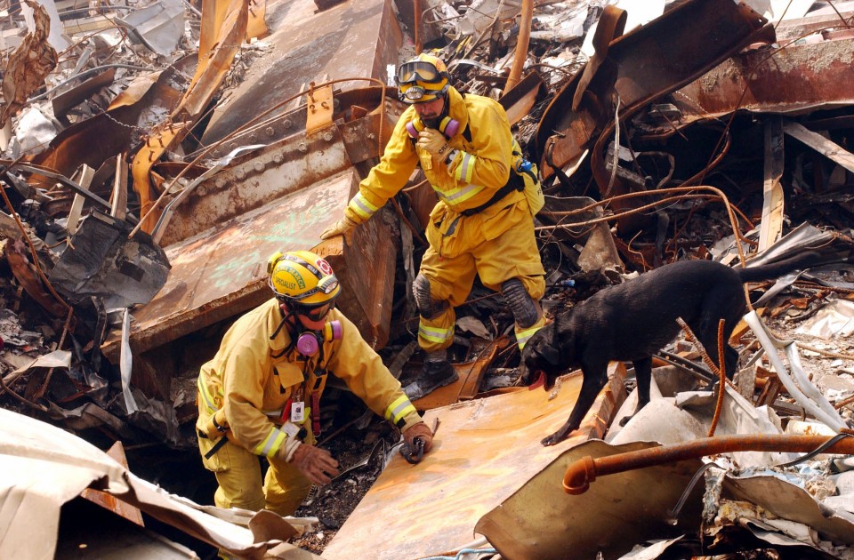 Mike Scott from the California Task Force-8 and his dog, Billy, search through rubble for victims.