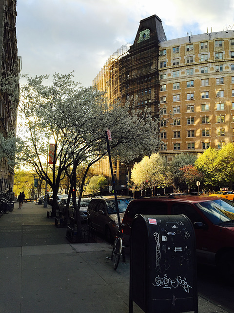 Spring in New York City