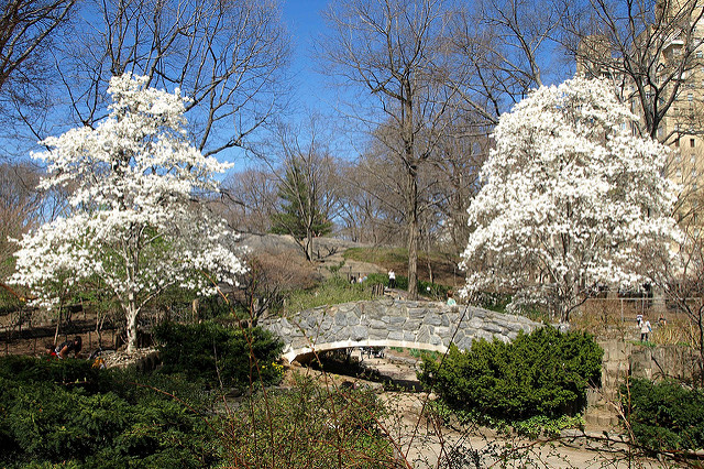 Playground in Central Park, New York City