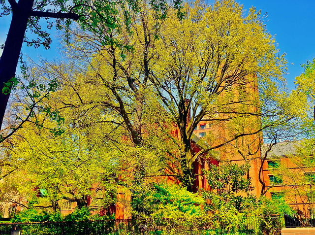 General Theological Seminary - Chelsea, New York City