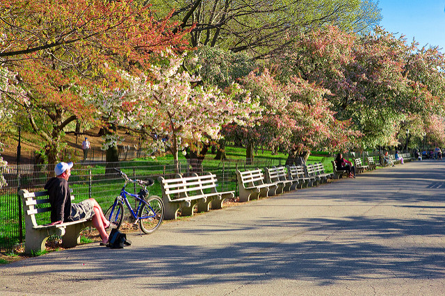 New York City: Spring Riverside Drive Park