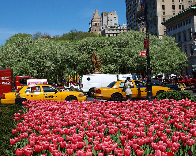Spring Scene, Grand Army Plaza, New York City