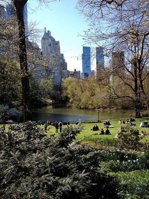 Spring Central Park, New York City