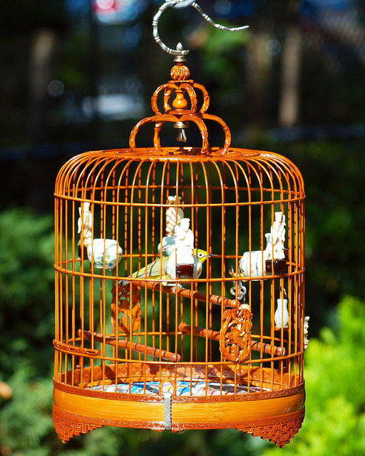 Hua Mei Bird Garden, Chinatown, Manhattan, New York City