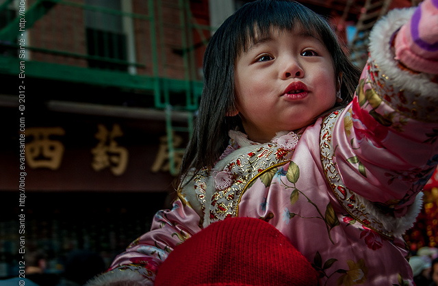 :: Image from New York Chinese New Year Firecracker Ceremony & Cultural Festival (2009}