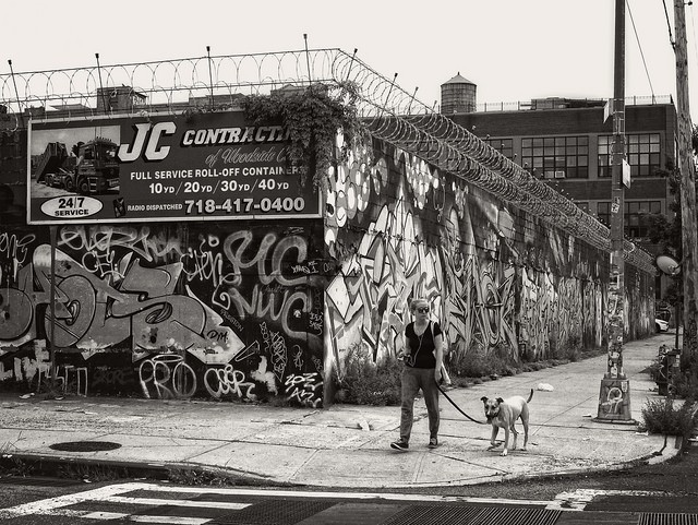 Seigel Street, Brooklyn, NYC