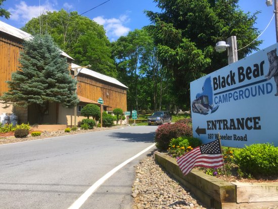 New York camping grounds