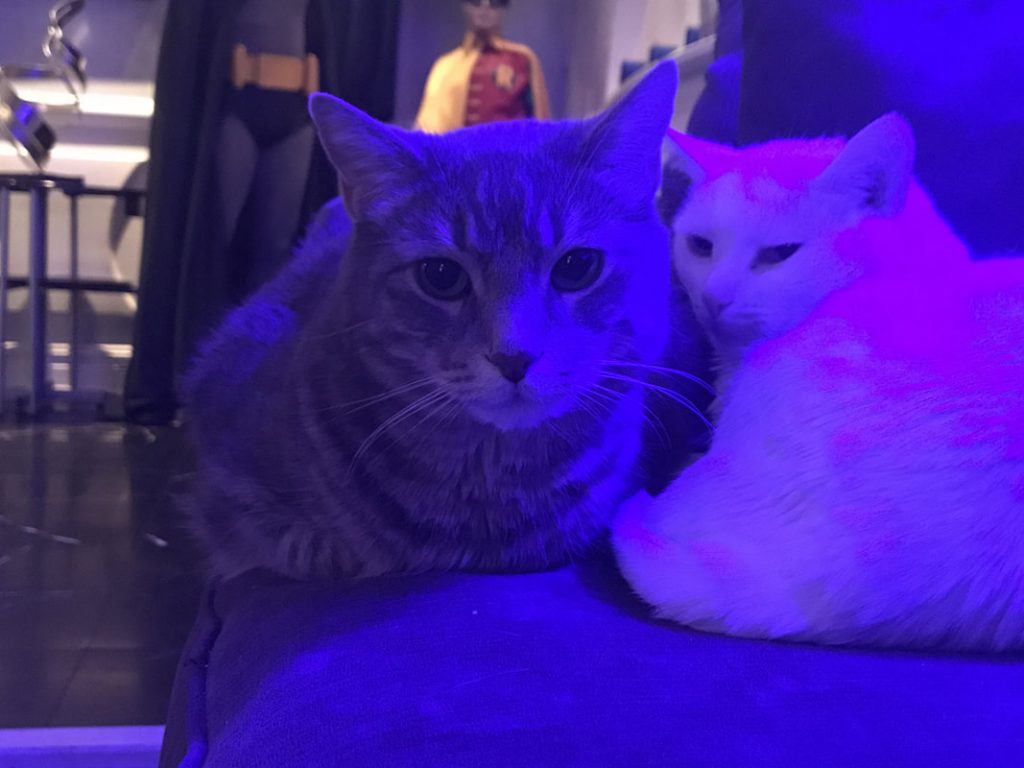 Karaoke in NYC? Top 7 Karaoke Bars To Embarrass Yourself in 2019 8