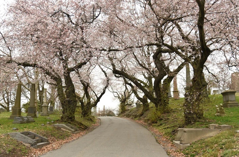 Where I find outdoor calm and solitude in New York City 1